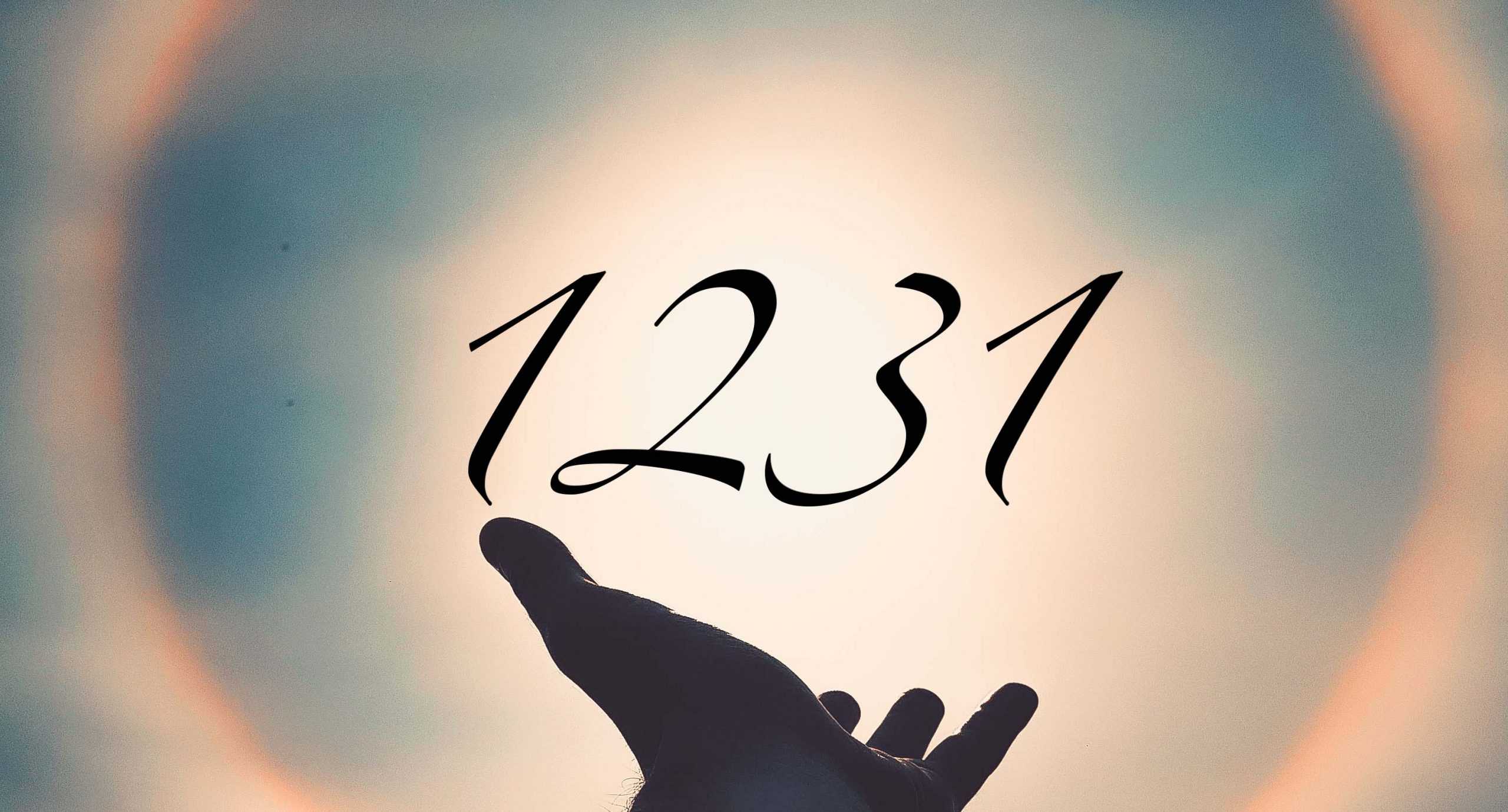 Signification du nombre 1231